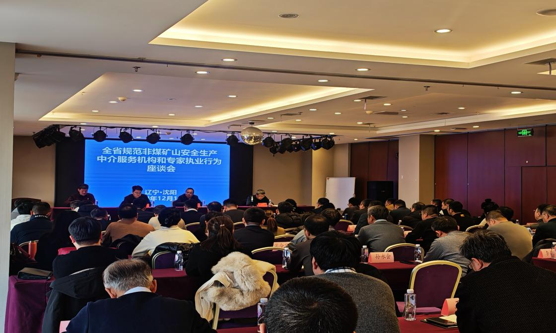 省矿山安监局举办全省规范非煤矿山安全生产中介服务机构和专家执业行为座谈会
